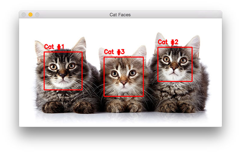 使用 OpenCV 识别图片中的猫咪