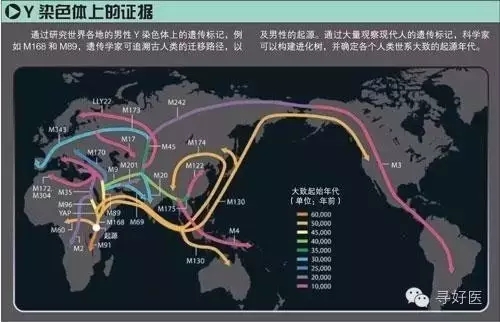 其实中国在利用dna分析自己祖先的迁徙路线上已经相对比较成熟了,就